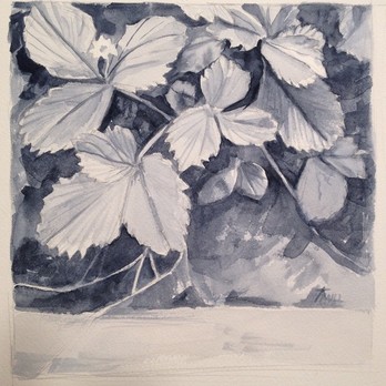 Strawberry Leaves Watercolor