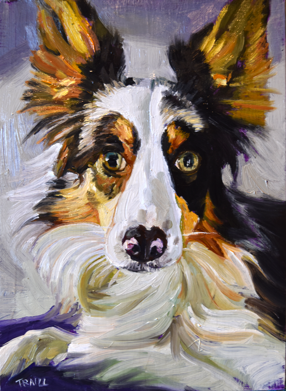 Oil Painting of Border Collie Australian Shepherd Mix, purples, golds and whites by Jennie Traill Schaeffer